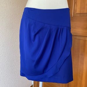Banana Republic Factory Women’s Blue Skirt